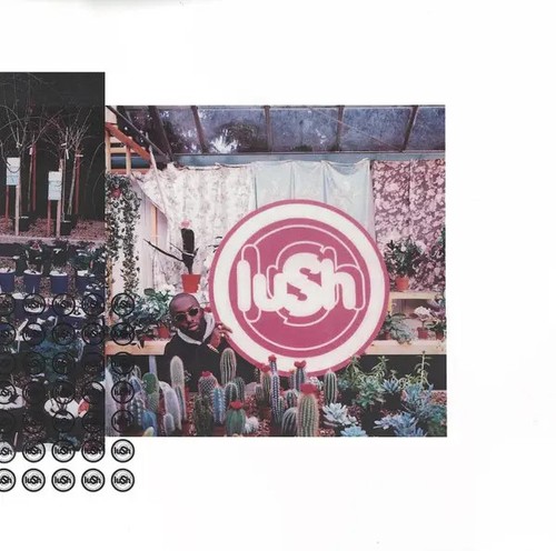 Lush lovelife vinyle 4ad - lovelife, lp