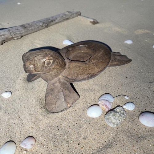Authentique cendrier tortue - authentique,