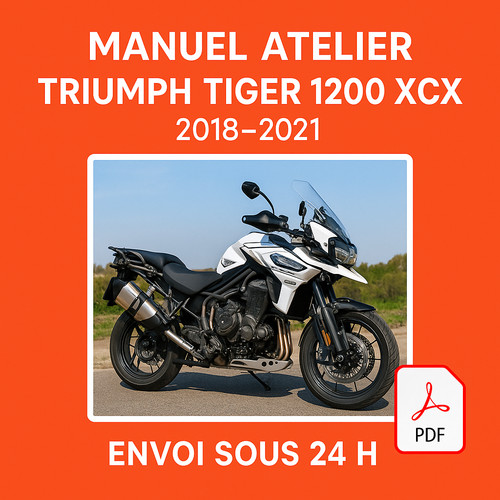 Manuel atelier triumph - atelier,