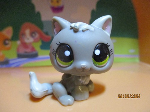 Petshop chaton 1035 - petshop,