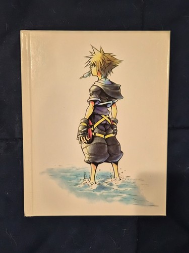 Kingdom hearts art - 2.5,