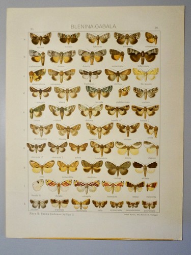 Chromolithographie originale - chromolithographie,