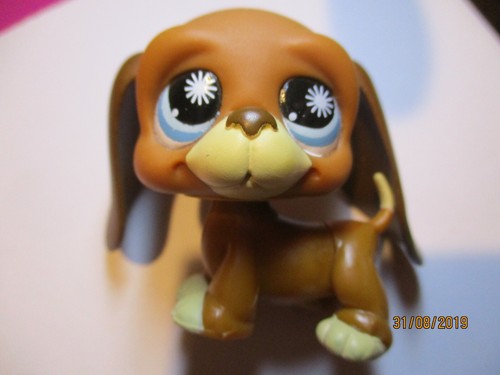 Petshop chien basset hound - chien,