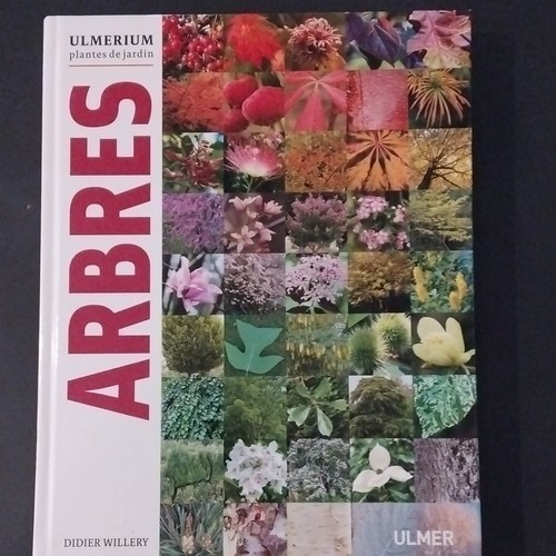 Ulmer ulmerium plantes - ulmerium,