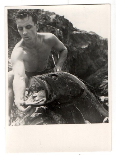 Photo snapshot 1960 - , bel