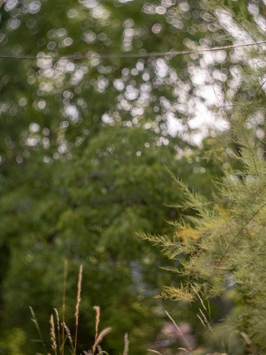 Objectif hermagis petzval 95mm - objectif,