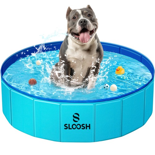 Piscine pour chiens petite - piscine,