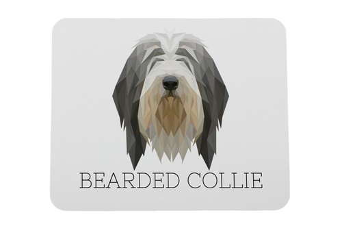 Bearded collie highland - bearded, collie,