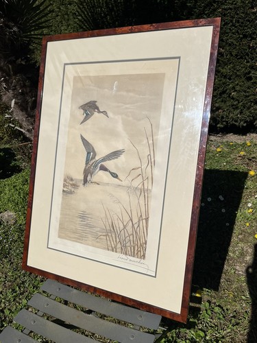 Gravure léon danchin canards - canards,