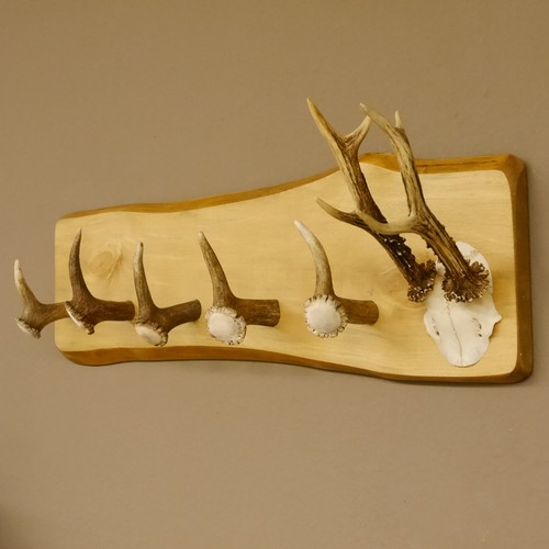 Porte manteau bois avec - avec, 5