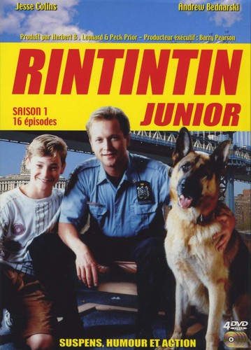 Rintintin junior saison - junior,