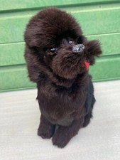 Ancien porte pyjama rare chien