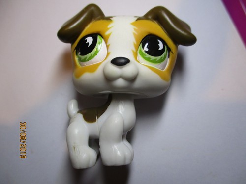 Petshop chien jack - chien, russel