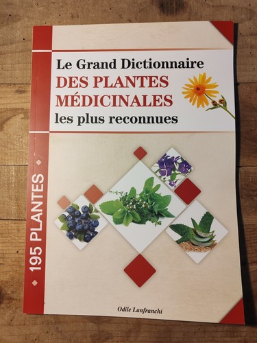 Livre grand dictionnaire - livre,