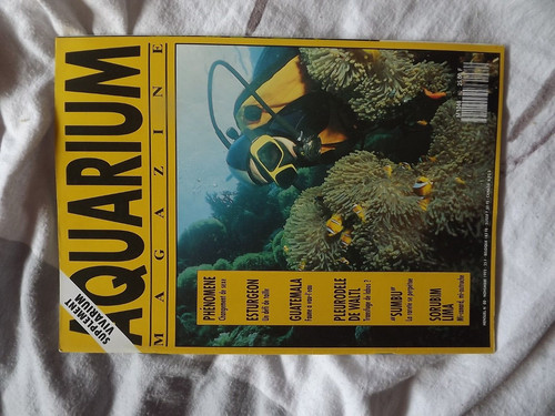 0104 aquarium magazine - magazine, n°80