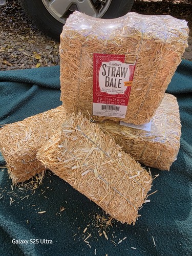 Mini straw hay - 6,