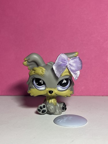 Littlest pet shop 883 - 🌸littlest,