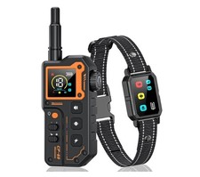 Collier de Dressage Chien