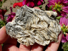 Barite & Chalcopyrite 8x5cm Germany Minerals Stone Lithotherapy Rare Reiki