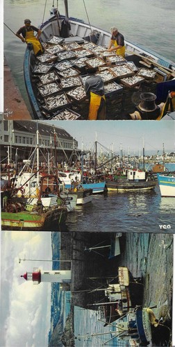 Bretagne finistere - ,