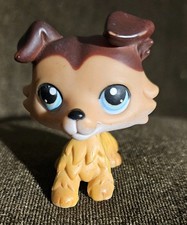 ✨️LITTLEST PET SHOP ~ LPS Collie Dog #58 Authentic (Paw Down Variant)✨️