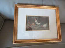 oil painting chicken and rooster in the short bass signed in its frame