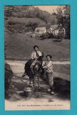 The Pyrenees: Dairy and his donkey / postcard - postcard /