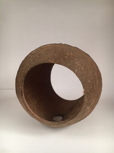 Vivarium 100 naturel - coque, 2