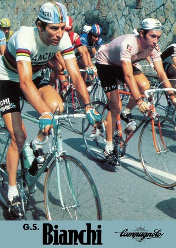 Eddy merckx gimondi bianchi - eddy,