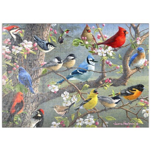 Mypuzzle oiseaux multicolores - mypuzzle,