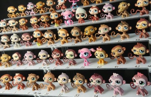 Singes littlest pet - singes,