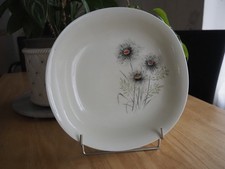 Plat rond & creux porcelaine Raynaud Limoges décor aux fleurs de pissenlit . TBE