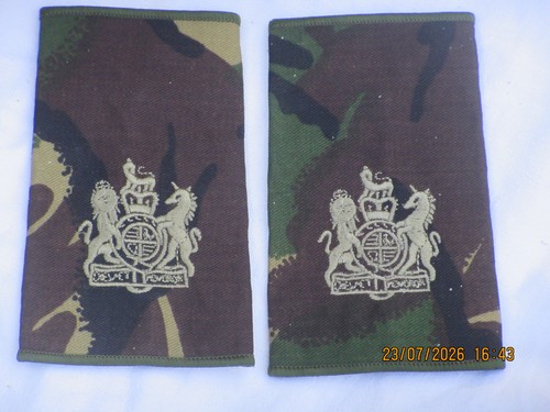 Rangschlaufen warrant officer - warrant,