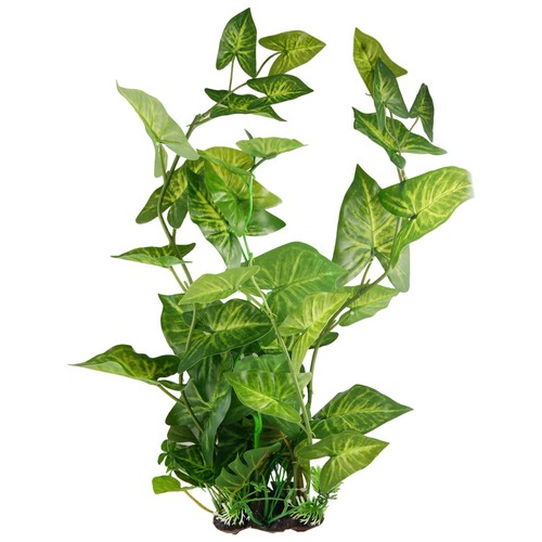 Décoration plantes po - plantes, 21,5