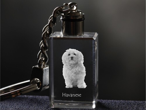Bichon havanais porte - havanais,, porte-clés