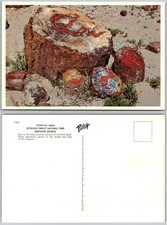 Continental Petrified Wood Forest National Park Arizona Postcard