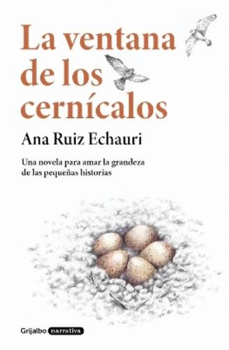Ana ruiz echauri ventana - echauri,