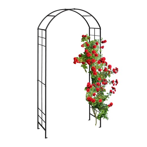 Arche rosier pergola - rosier,