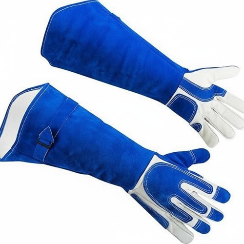 Gants anti morsure - gants, en