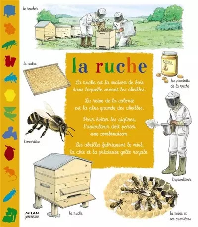 Ruche léon rogez et - léon,