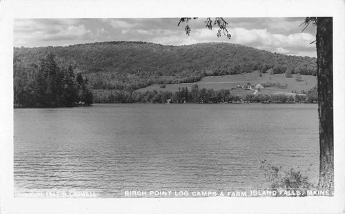 Farm island falls maine - island, birch