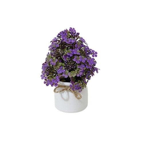 Orchidée papillon