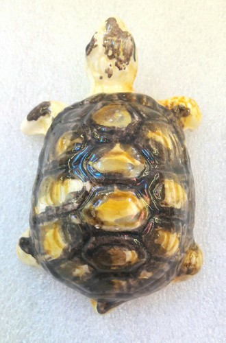 Tortue terre céramique - en,