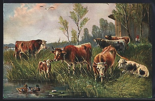 Carte postale artiste august - postale,
