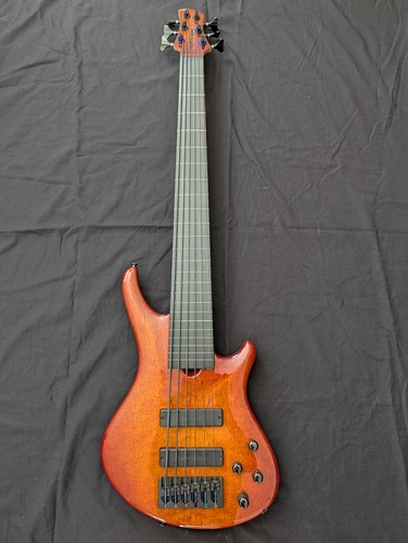 Roscoe skb string fretless - roscoe,