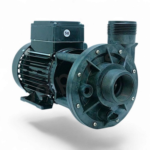 Pompe spa flo 1 5 - ii, 1,5"