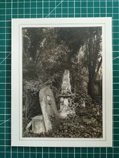 DD123 PHOTO VGC circa 1950 17x12cm landscape tombstones unknown place