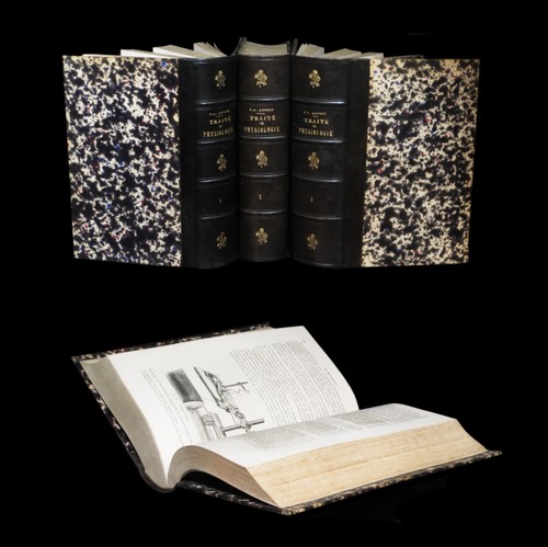 Medecine biologie anatomie - medecine,