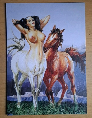 Maghella couverture 34 - maghella,