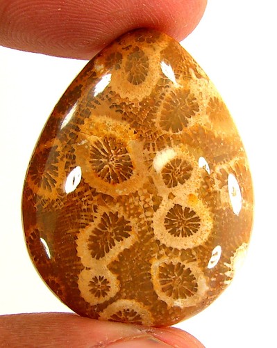 Cabochon pierre corail - cabochon, en
